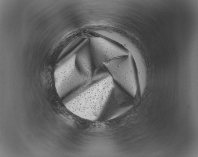 X0000076100968200610202131