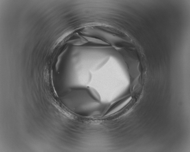 X0000076100969200610202131