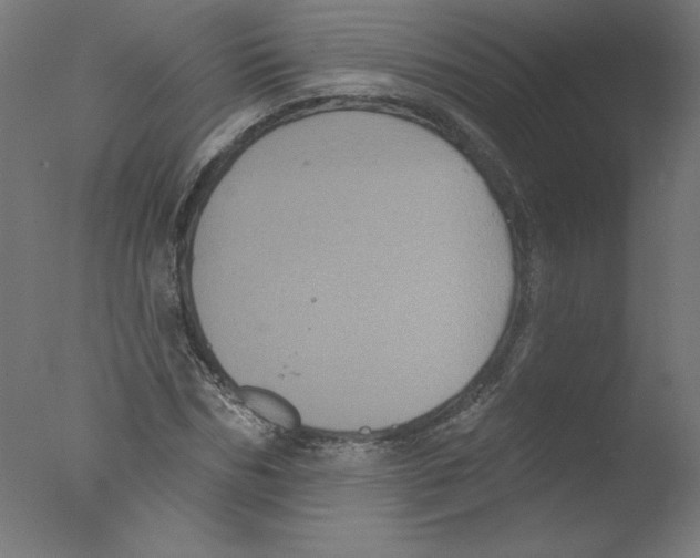 X0000076100970200610202131