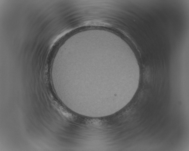 X0000076100971200610202131