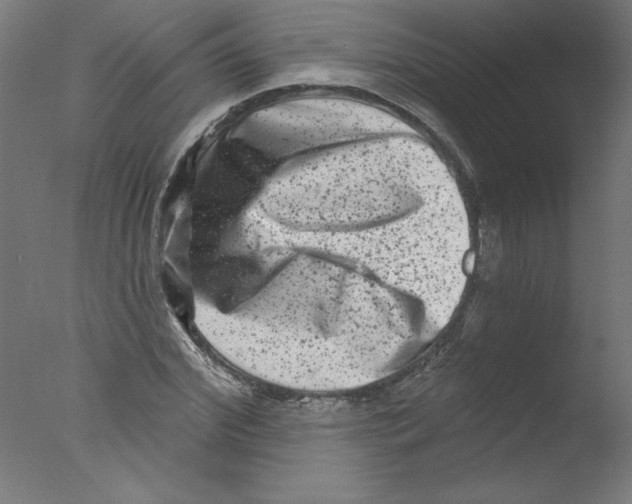 X0000076100972200610202131