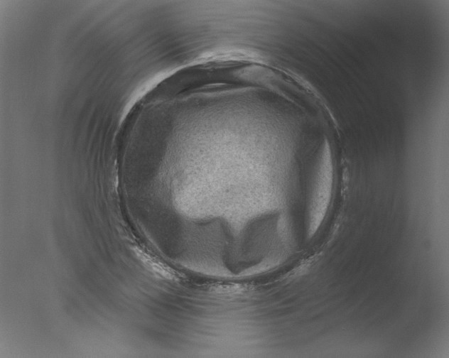 X0000076100973200610202131