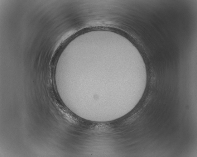 X0000076100974200610202131