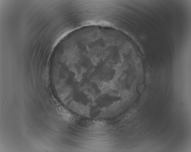 X0000076100975200610202131