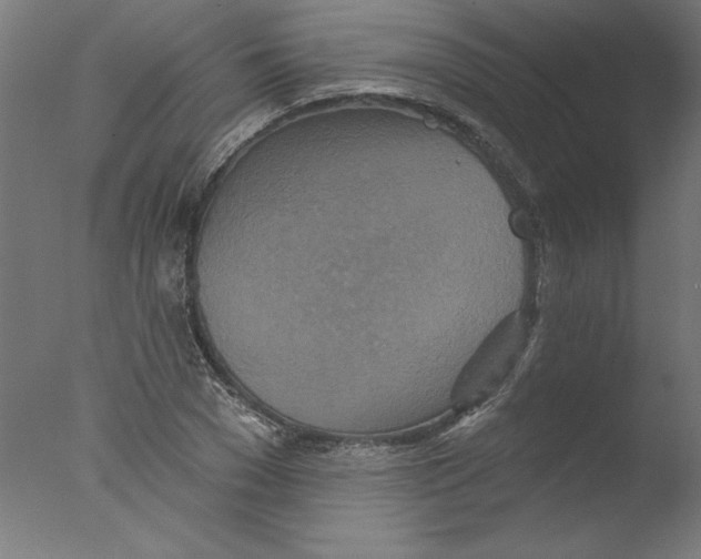 X0000076100977200610202131