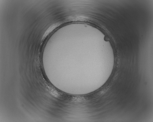 X0000076100978200610202131