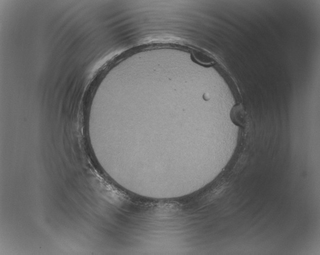 X0000076100979200610202131