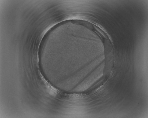 X0000076100980200610202131