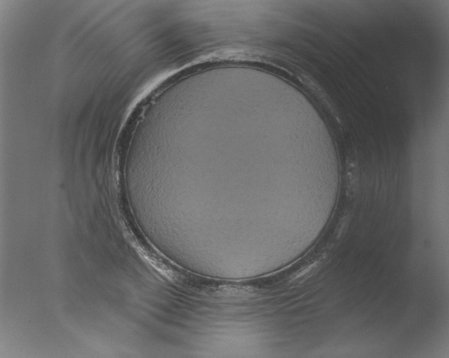 X0000076100981200610202131