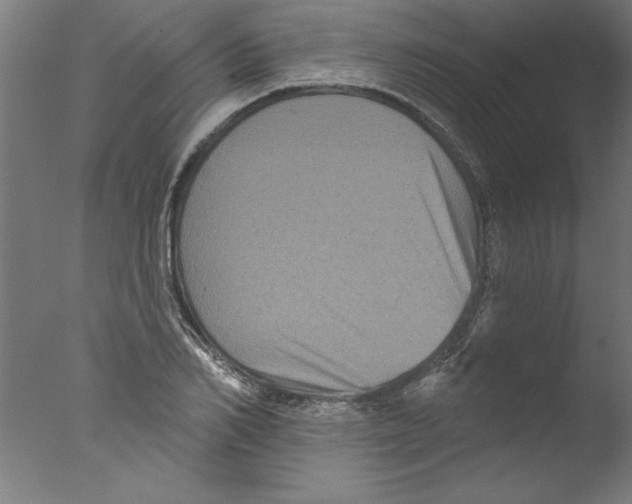 X0000076100982200610202131