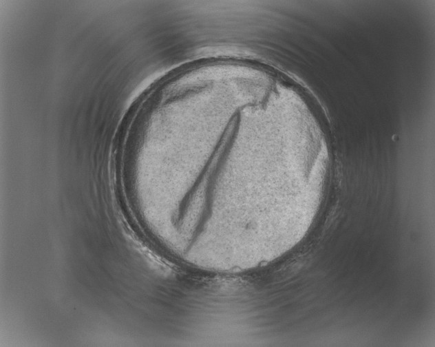 X0000076100983200610202131