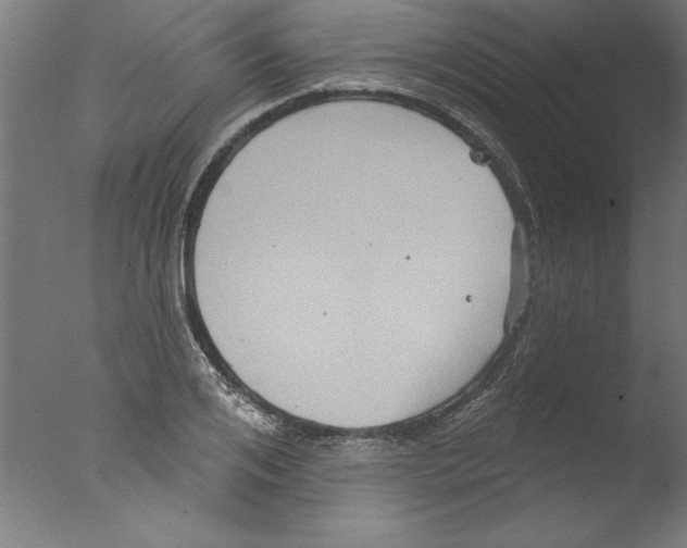 X0000076100984200610202131