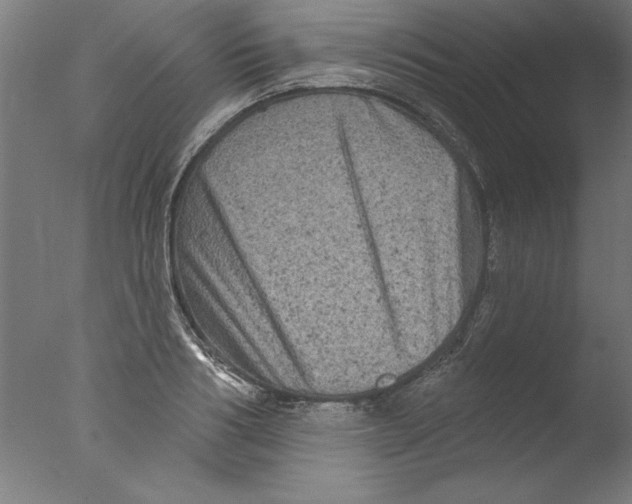 X0000076100986200610202131