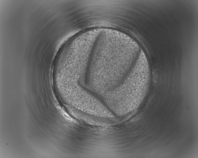 X0000076100987200610202131