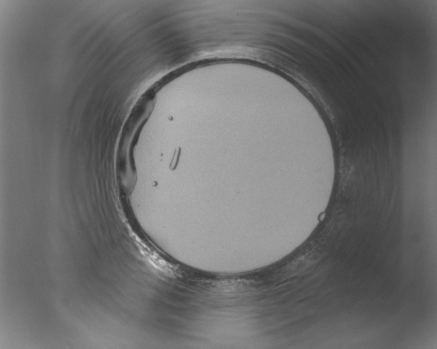 X0000076100988200610202131