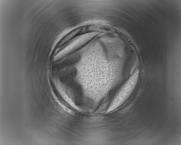 X0000076100989200610202131