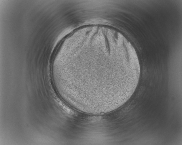 X0000076100990200610202131