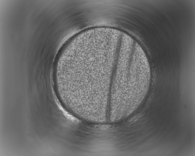 X0000076100991200610202131