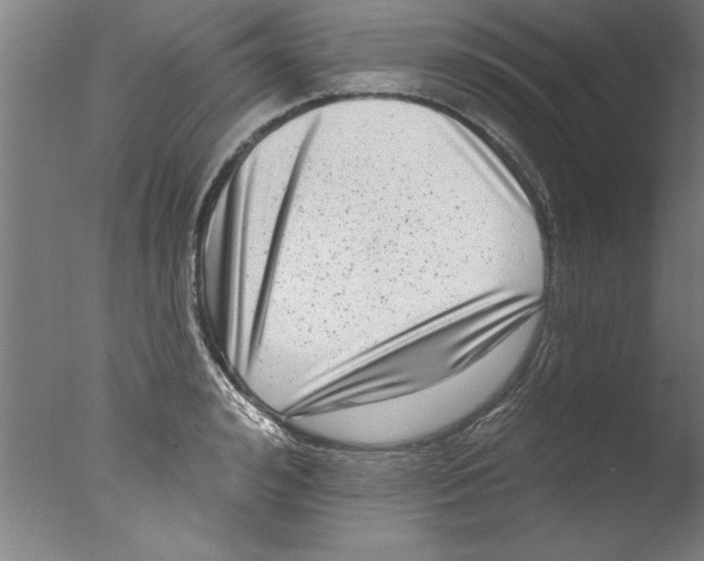 X0000076100992200610202131