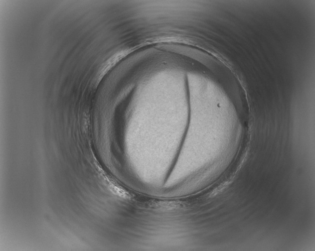 X0000076100993200610202131