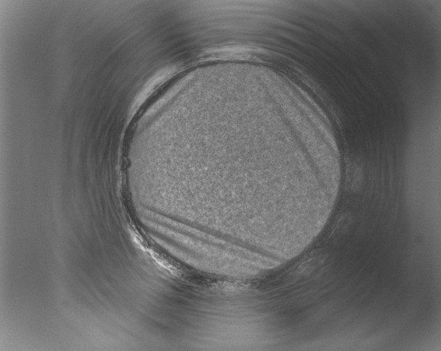 X0000076100994200610202131