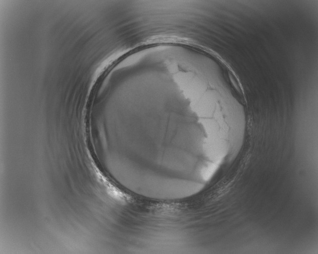 X0000076100995200610202131