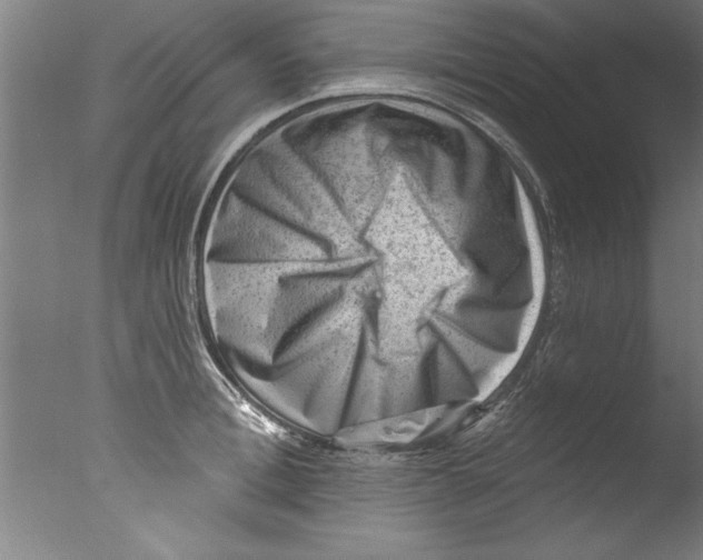 X0000076100996200610202131