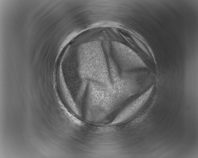 X0000076100997200610202131