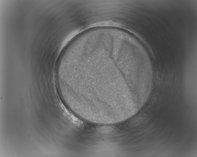 X0000076100998200610202131