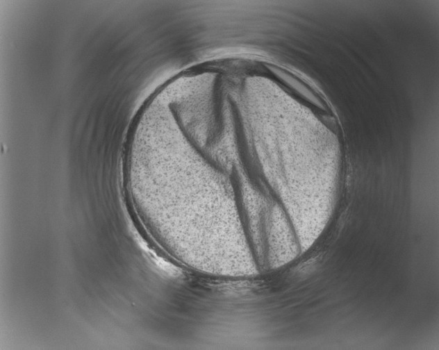 X0000076100999200610202131