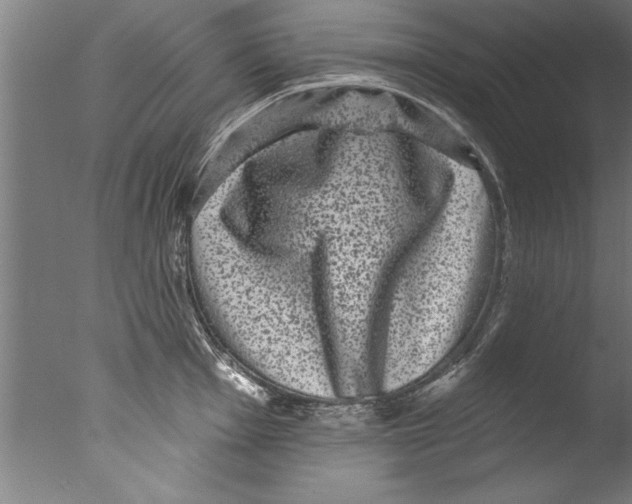 X0000076101001200610202131