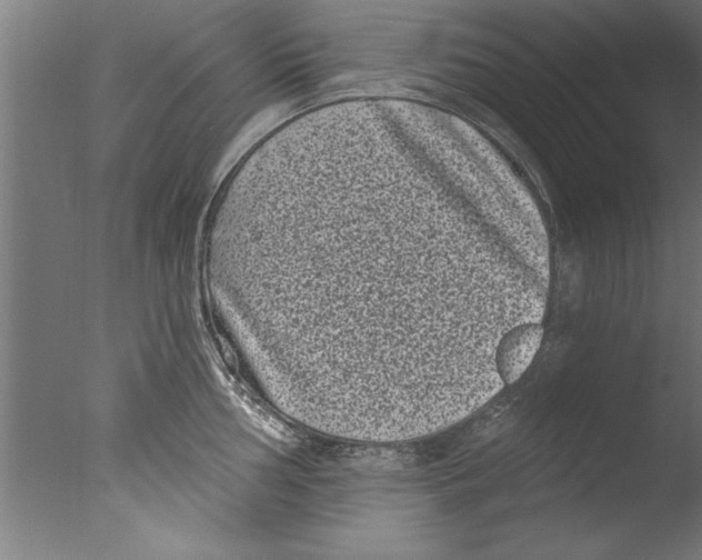 X0000076101002200610202131