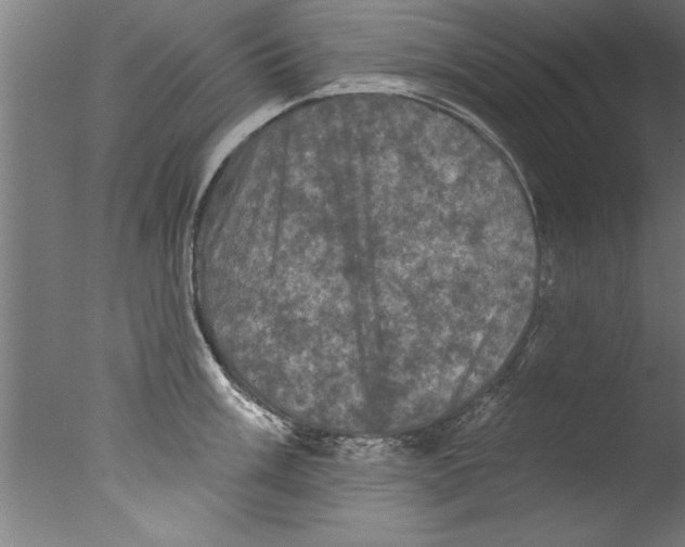 X0000076101003200610202131