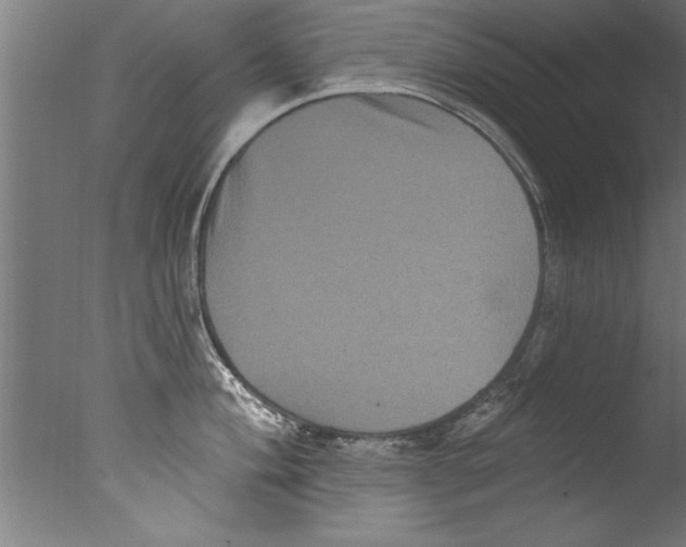 X0000076101004200610202131