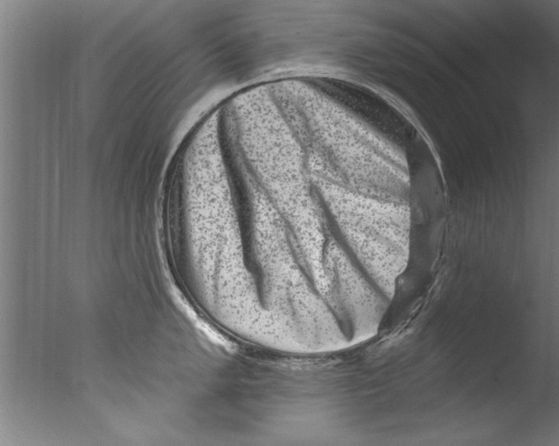 X0000076101005200610202131