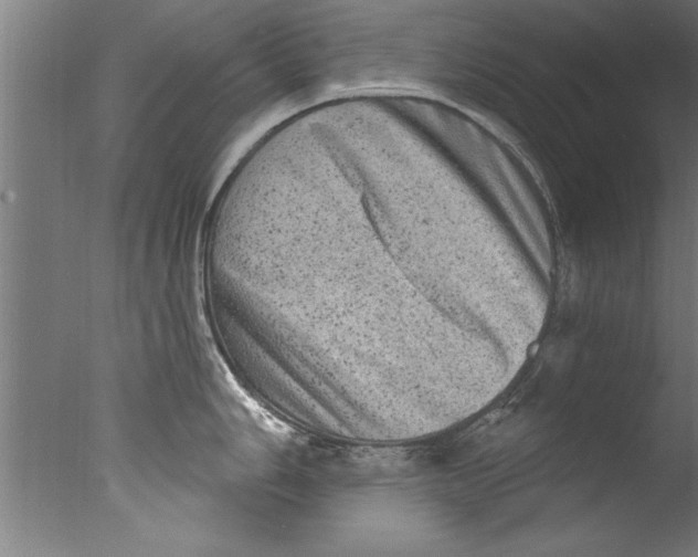 X0000076101006200610202131