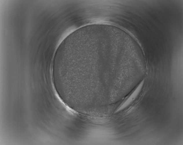 X0000076101007200610202131