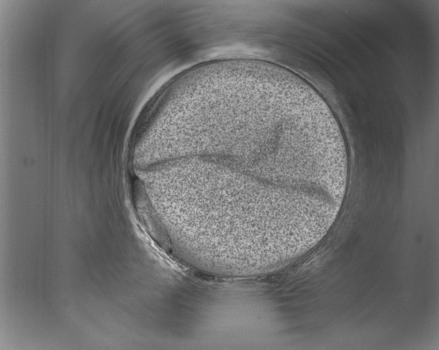 X0000076101008200610202131