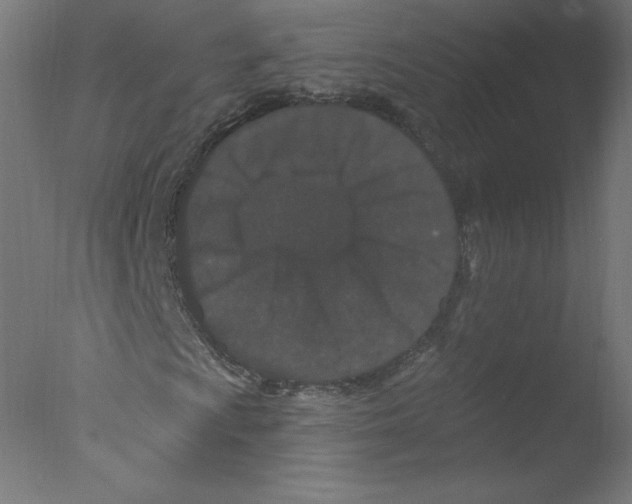 X0000076101009200610202130