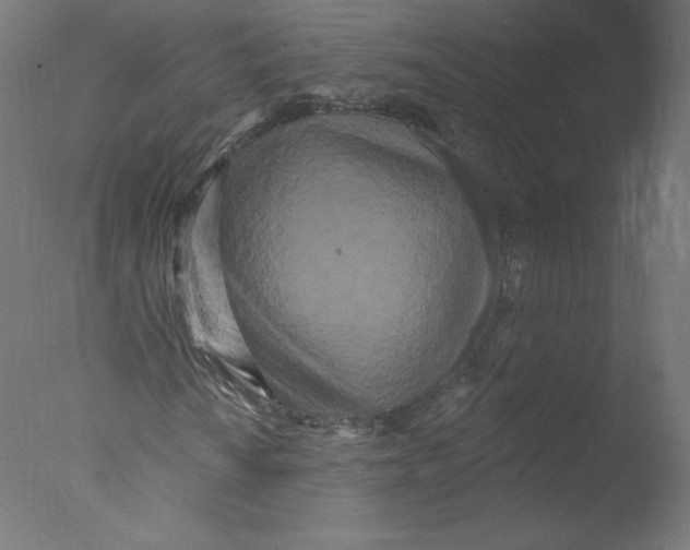 X0000076101010200610202130