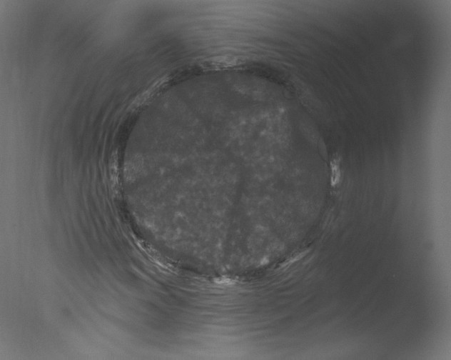 X0000076101011200610202130