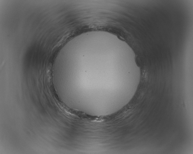 X0000076101012200610202130