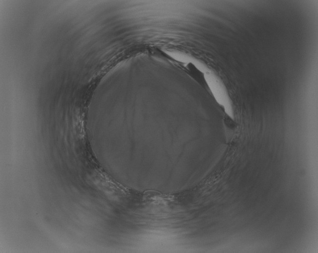 X0000076101013200610202130