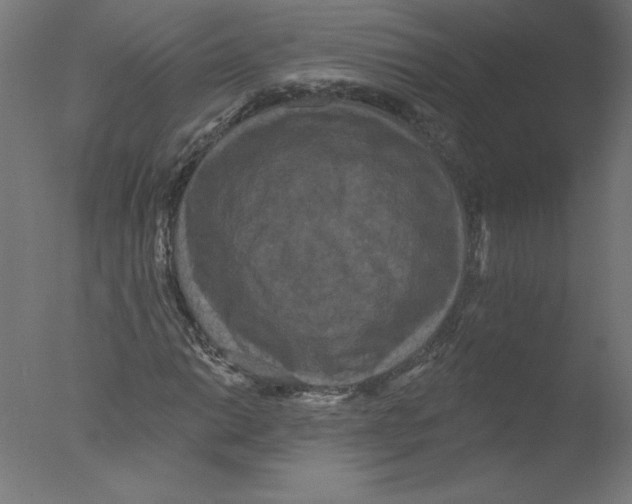 X0000076101014200610202130