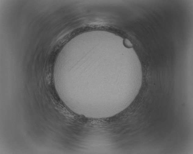 X0000076101015200610202130