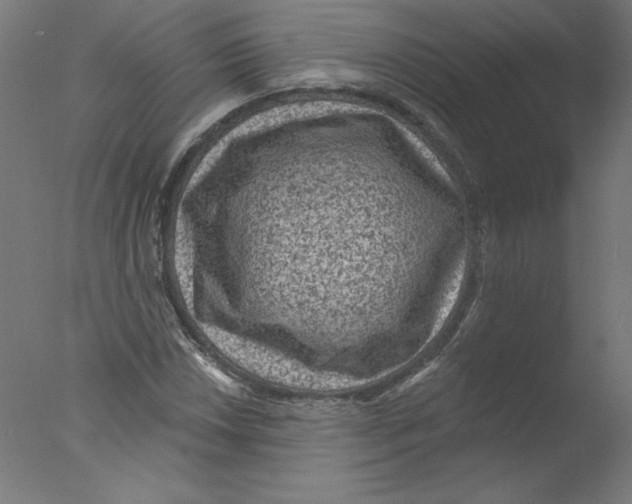 X0000076101018200610202130