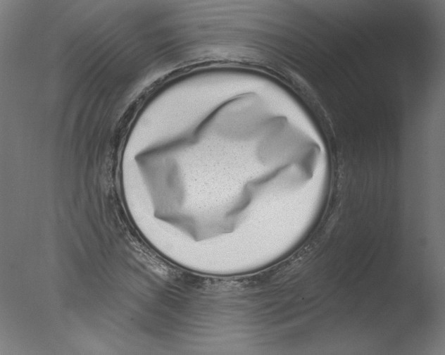 X0000076101019200610202130