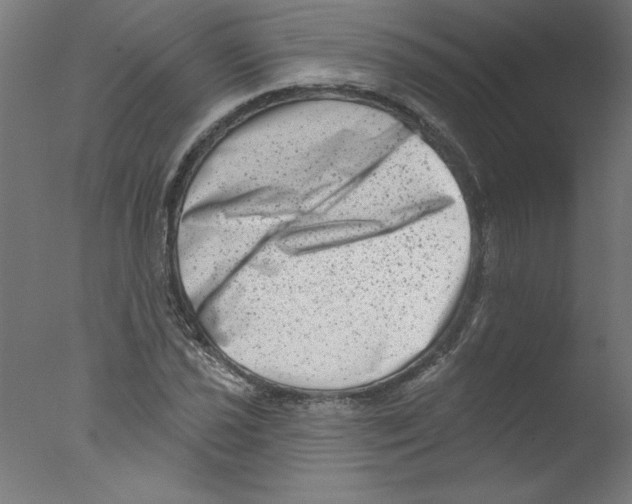 X0000076101021200610202130