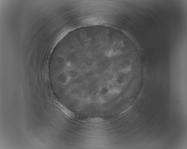 X0000076101023200610202130