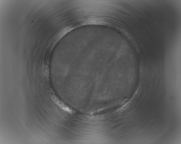 X0000076101025200610202130